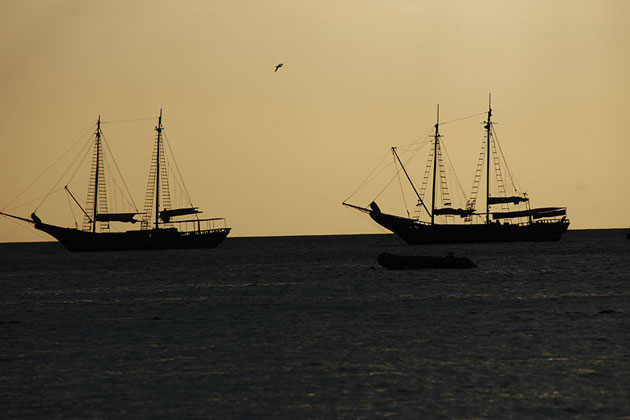Aruba Tall Ships