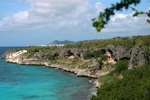 Bonaire Shoreline